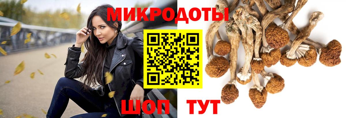Псилоцибиновые грибы Magic Shrooms Павловский Посад