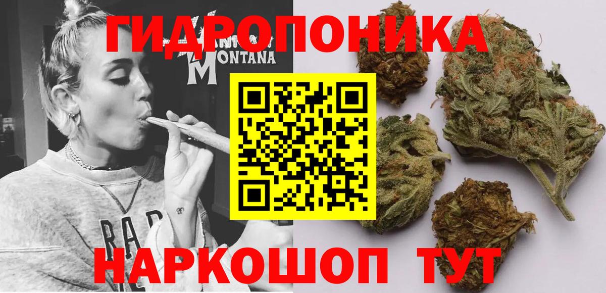 Марихуана марихуана Павловский Посад